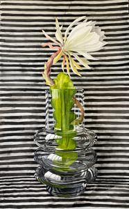 Epiphyllum and New Vase