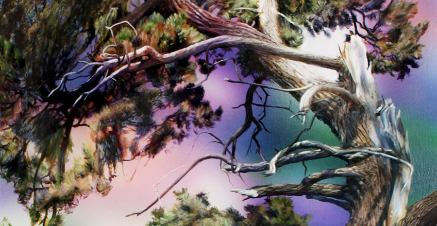 Flora Obscura