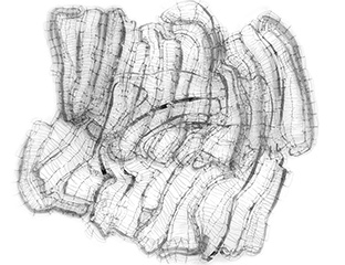 Geologic Time