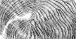 Synecdoche