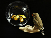 Zebra Finch with Beetles in Glass