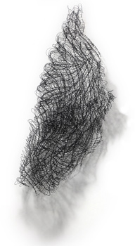 Epicormic 1
