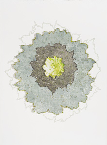 Flowers of the Sea