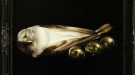 Owl with Spherical Mirrors