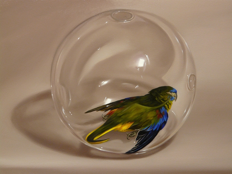 Parakeet_in Glass