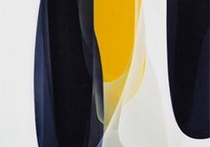 Agneta Ekholm finalist in Wollongong Art Prize 2025