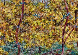 Nat Ward finalist in 2026 Fleurieu Biennale Art Prize 