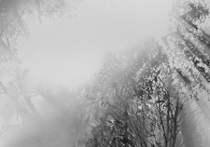 Kim Anderson finalist in National Works on Paper Prize